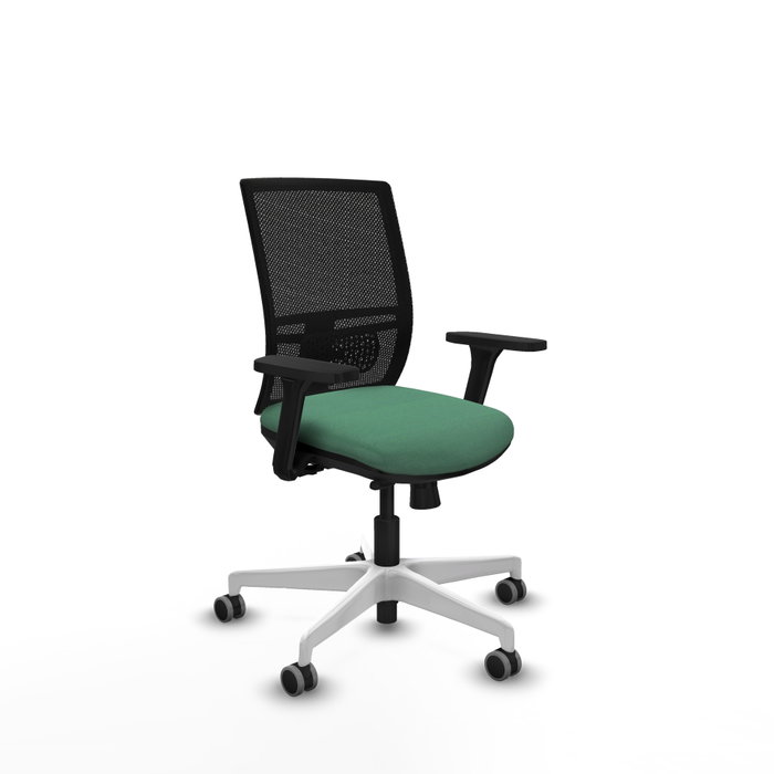 PIQUERAS Y CRESPO Silla de oficina Yunquera con mecanismo Sincro/Traslack, Verde esmeralda y Negro PIQUERAS Y CRESPO Silla de oficina Yunquera con mecanismo Sincro/Traslack, Verde esmeralda y Negro