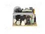 MEAN WELL EPS-35-5 Alimentador de impulso de 30W, 5V DC
