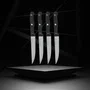 Nirosta Juego de 4 Cuchillos para Carne - 21 cm