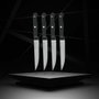 Nirosta Juego de 4 cuchillos para carne - 21 cm