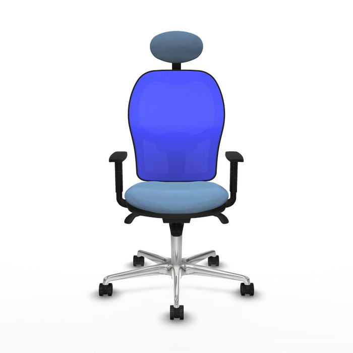 PIQUERAS Y CRESPO Silla de oficina Jorquera con mecanismo sincro, azul cielo y azul PIQUERAS Y CRESPO Silla de oficina Jorquera con mecanismo sincro, azul cielo y azul