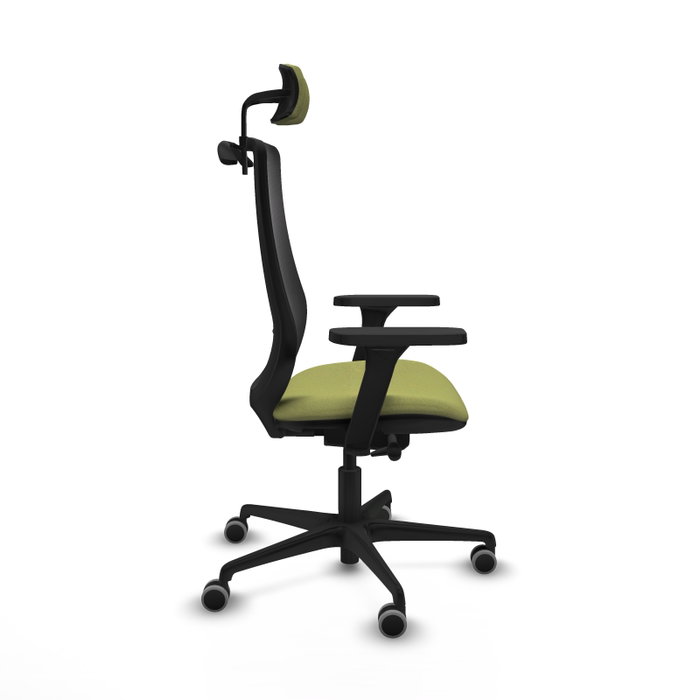 PIQUERAS Y CRESPO Silla de oficina Mardos con mecanismo Sincro/Traslack, Verde oliva y Negro PIQUERAS Y CRESPO Silla de oficina Mardos con mecanismo Sincro/Traslack, Verde oliva y Negro