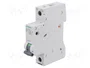 Siemens Leitungsschutzschalter B2A 1 polo 6kA 230/400V