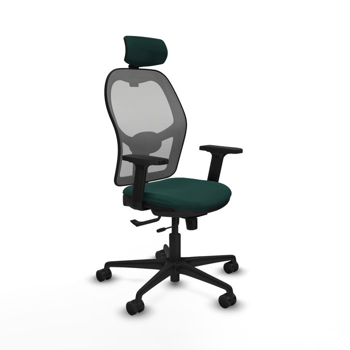 PIQUERAS Y CRESPO Silla de oficina Jorquera con mecanismo Sincro/Traslack Verde botella y Gris PIQUERAS Y CRESPO Silla de oficina Jorquera con mecanismo Sincro/Traslack Verde botella y Gris