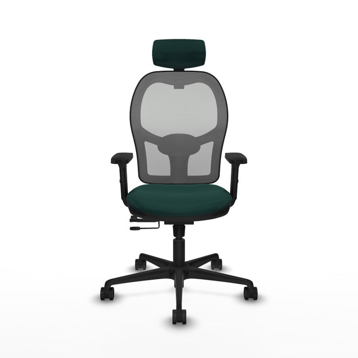 PIQUERAS Y CRESPO Silla de oficina Jorquera con mecanismo Sincro/Traslack Verde botella y Gris PIQUERAS Y CRESPO Silla de oficina Jorquera con mecanismo Sincro/Traslack Verde botella y Gris