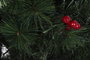 DKD Home Decor Árbol de Navidad Tradicional Verde 100 x 150 x 100 cm Capacidad 250 LEDs
