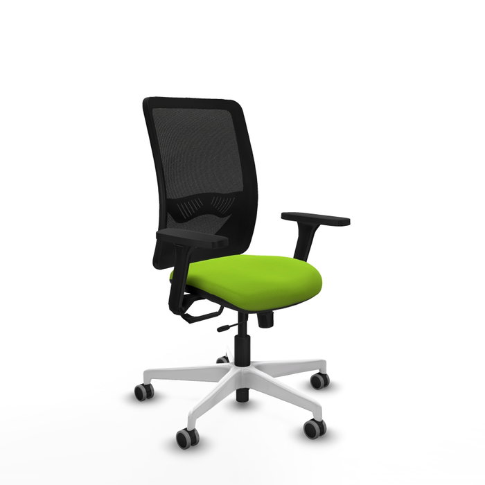PIQUERAS Y CRESPO Silla de oficina Zulema con mecanismo Sincro/Traslack, Pistacho y Negro PIQUERAS Y CRESPO Silla de oficina Zulema con mecanismo Sincro/Traslack, Pistacho y Negro