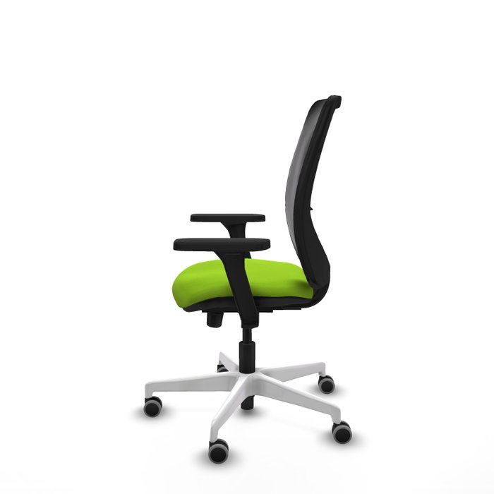 PIQUERAS Y CRESPO Silla de oficina Zulema con mecanismo Sincro/Traslack, Pistacho y Negro PIQUERAS Y CRESPO Silla de oficina Zulema con mecanismo Sincro/Traslack, Pistacho y Negro