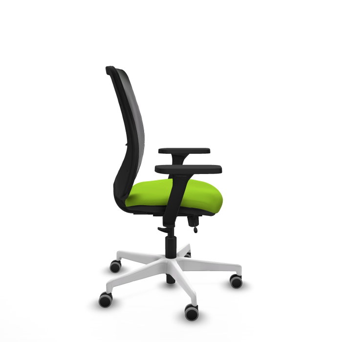 PIQUERAS Y CRESPO Silla de oficina Zulema con mecanismo Sincro/Traslack, Pistacho y Negro PIQUERAS Y CRESPO Silla de oficina Zulema con mecanismo Sincro/Traslack, Pistacho y Negro