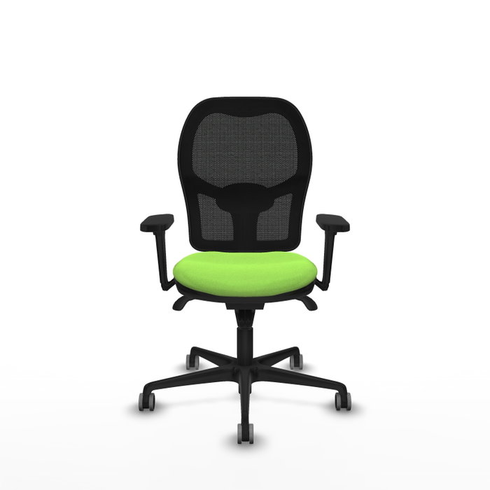 PIQUERAS Y CRESPO Silla de oficina Jorquera con mecanismo Sincro, tela Pistacho y malla Negra PIQUERAS Y CRESPO Silla de oficina Jorquera con mecanismo Sincro, tela Pistacho y malla Negra
