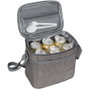 RIVACASE Riva Kühltasche Torngat 5,5L gris 5706