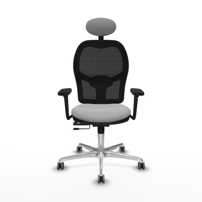 PIQUERAS Y CRESPO Silla de oficina Jorquera con mecanismo Sincro/Traslack, Gris claro y Negro PIQUERAS Y CRESPO Silla de oficina Jorquera con mecanismo Sincro/Traslack, Gris claro y Negro