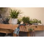 Gardena Cepillo para persianas Cleansystem 18850-20