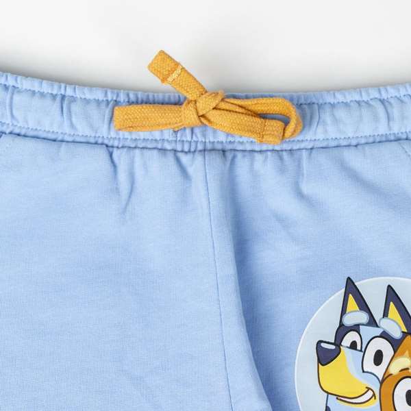 Cerdá Conjunto 2 Piezas French Terry Bluey Talla 5 Años Cerdá Conjunto 2 Piezas French Terry Bluey Talla 5 Años