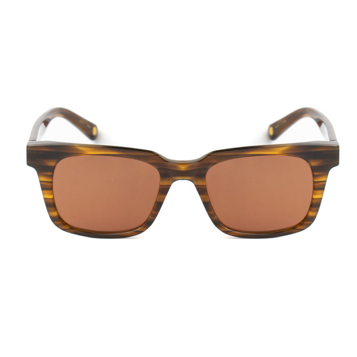 Belstaff TRIUMPH-S096 Gafas de sol Marrón