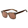 Belstaff TRIUMPH-S096 Gafas de sol Marrón