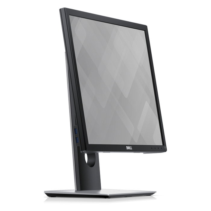 Dell P1917S Monitor Pro de 19 pulgadas IPS Negro