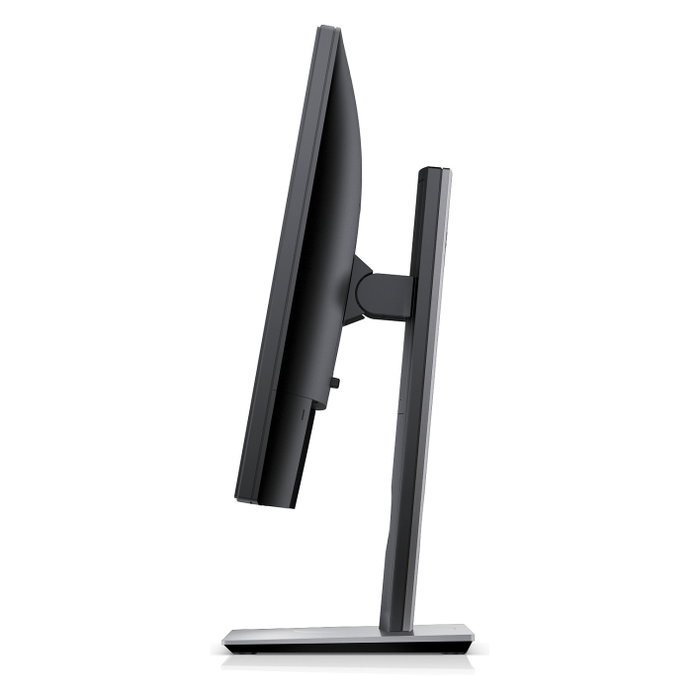 Dell P1917S Monitor Pro de 19 pulgadas IPS Negro
