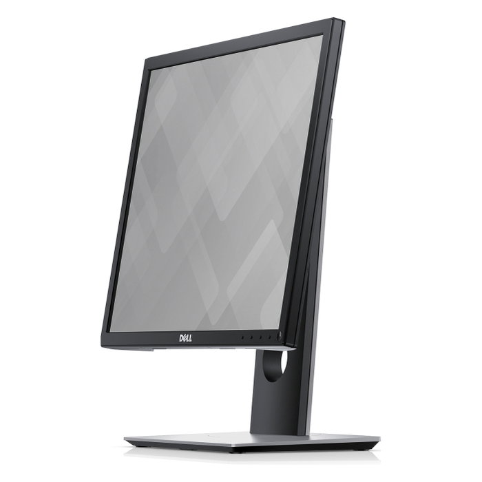 Dell P1917S Monitor Pro de 19 pulgadas IPS Negro