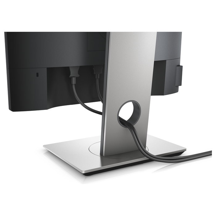 Dell P1917S Monitor Pro de 19 pulgadas IPS Negro