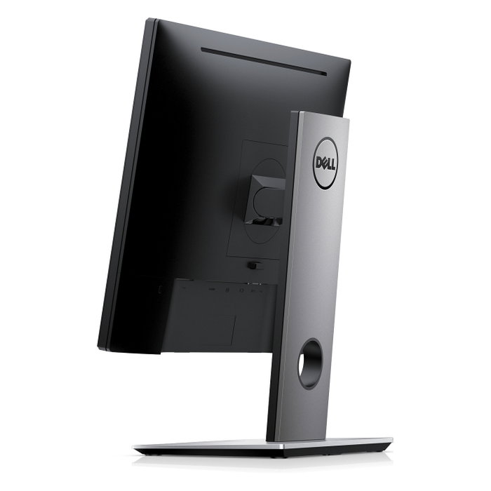 Dell P1917S Monitor Pro de 19 pulgadas IPS Negro