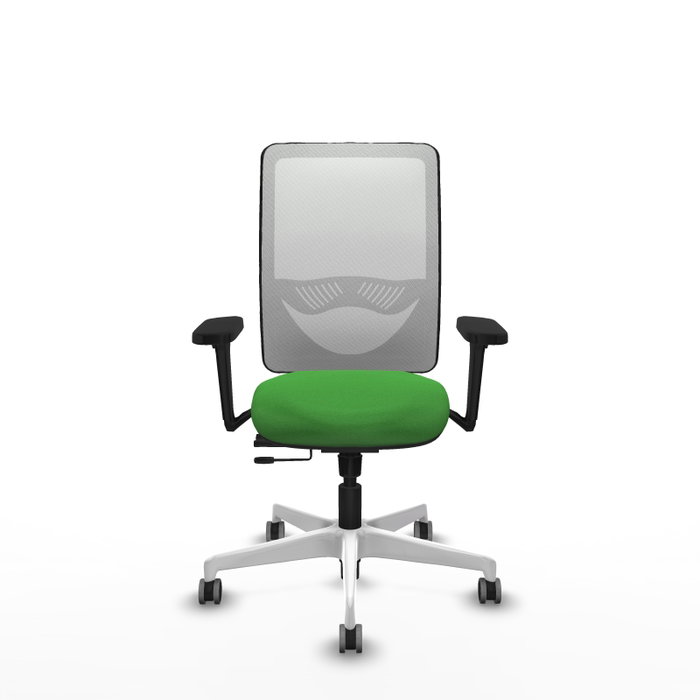 PIQUERAS Y CRESPO Silla de oficina Zulema con mecanismo Sincro/Traslack, Verde y Blanco PIQUERAS Y CRESPO Silla de oficina Zulema con mecanismo Sincro/Traslack, Verde y Blanco