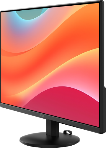 MSI Pro MP242L 23.8'' Full HD IPS 100Hz Negro
