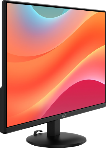 MSI Pro MP242L 23.8'' Full HD IPS 100Hz Negro