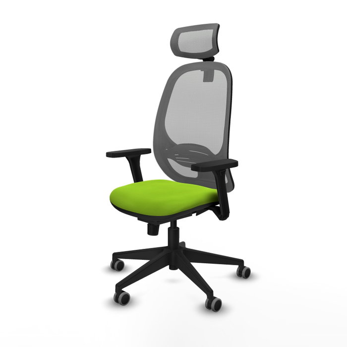 PIQUERAS Y CRESPO Silla de oficina Cilanco con mecanismo Sincro, Pistacho y Gris PIQUERAS Y CRESPO Silla de oficina Cilanco con mecanismo Sincro, Pistacho y Gris