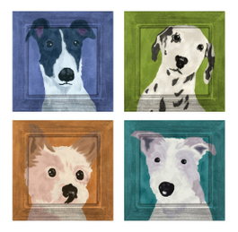 DKD Home Decor Cuadro MDF 50x50 Perrito Color Surtido de 4 Unidades