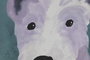 DKD Home Decor Cuadro MDF 50x50 Perrito Color Surtido de 4 Unidades