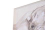 DKD Home Decor Cuadro Lienzo MDF 90x60 Elefantes Surtido de 2