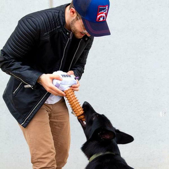 Cerdá Mordedor para Perro Avengers Thor Gris Cerdá Mordedor para Perro Avengers Thor Gris