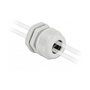 DeLOCK Prensaestopas PG21 para cable plano con dos entradas, Gris, 2 unidades