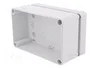 ELEKTRO-PLAST NASIELSK Carcasa Universal Industrial Gris