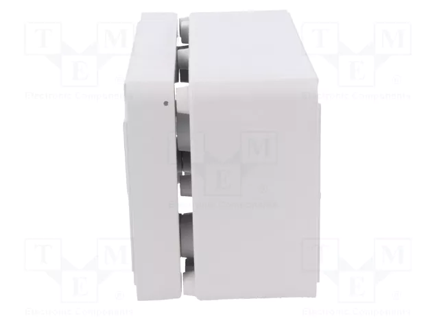 ELEKTRO-PLAST NASIELSK Carcasa Universal Industrial Gris