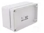 ELEKTRO-PLAST NASIELSK Carcasa Universal Industrial Gris