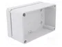 ELEKTRO-PLAST NASIELSK Carcasa Universal Industrial Gris
