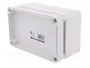 ELEKTRO-PLAST NASIELSK Carcasa Universal Industrial Gris