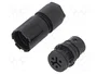 WIELAND Conector Industrial RST Hembra de 3 Pines, 250V, Negro