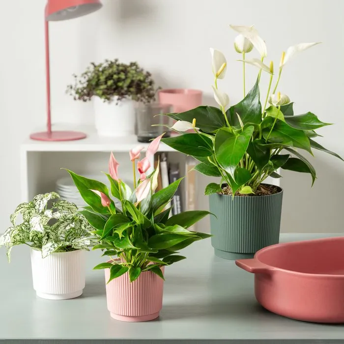 GARDEN ID Maceta redonda de Lino, 25 cm de diámetro, 7 litros, 22 cm de altura, color Blanco - Modelo 1612801