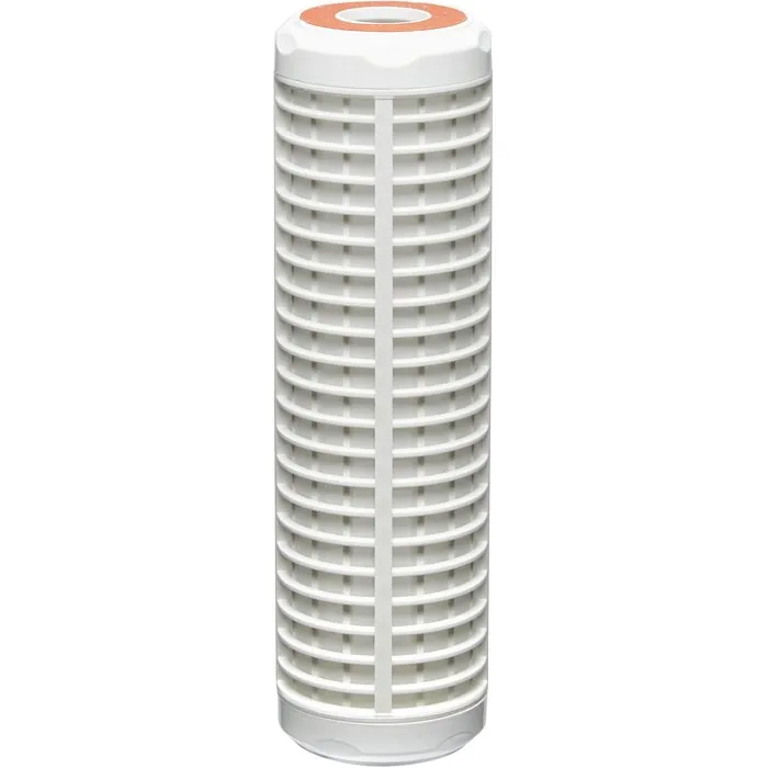 BWT Cartucho lavable AACGO31749 50 µm para prefiltración económica, retiene partículas gruesas, fácil limpieza bajo grifo