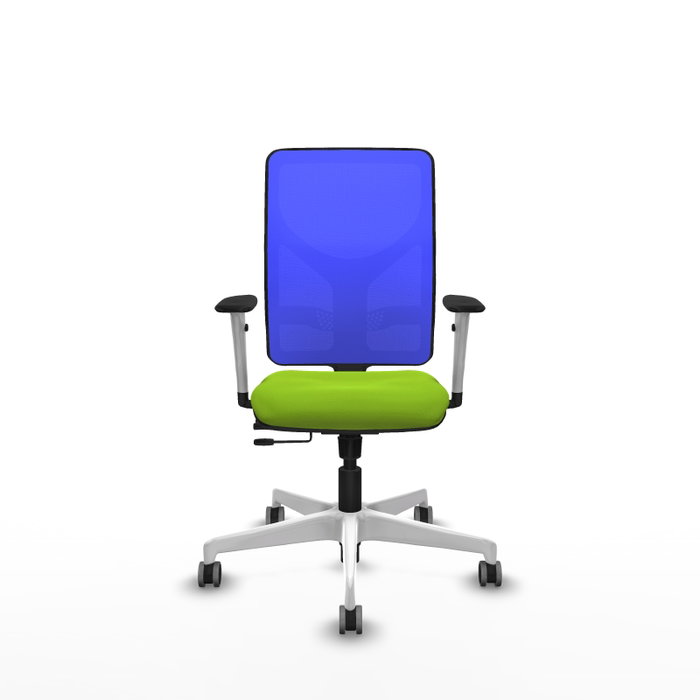 PIQUERAS Y CRESPO Silla de oficina Motilla con mecanismo Sincro/Traslack, Pistacho y Azul