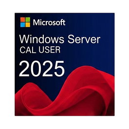 Microsoft WINSVR CAL 2025 5User Licencia de Acceso para Cliente