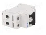 EATON ELECTRIC Interruptor magnetotérmico FAZ-B6/2 2 polos 6A 15kA