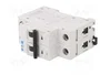 EATON ELECTRIC Interruptor magnetotérmico FAZ-B6/2 2 polos 6A 15kA