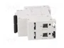 EATON ELECTRIC Interruptor magnetotérmico FAZ-B6/2 2 polos 6A 15kA