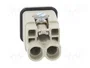 HARTING Han Q Plantilla de Contacto Macho HDC