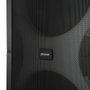 Phoenix technologies BigBoss XL 300W RMS con 2 micrófonos inalámbricos