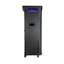 Phoenix technologies BigBoss XL 300W RMS con 2 micrófonos inalámbricos